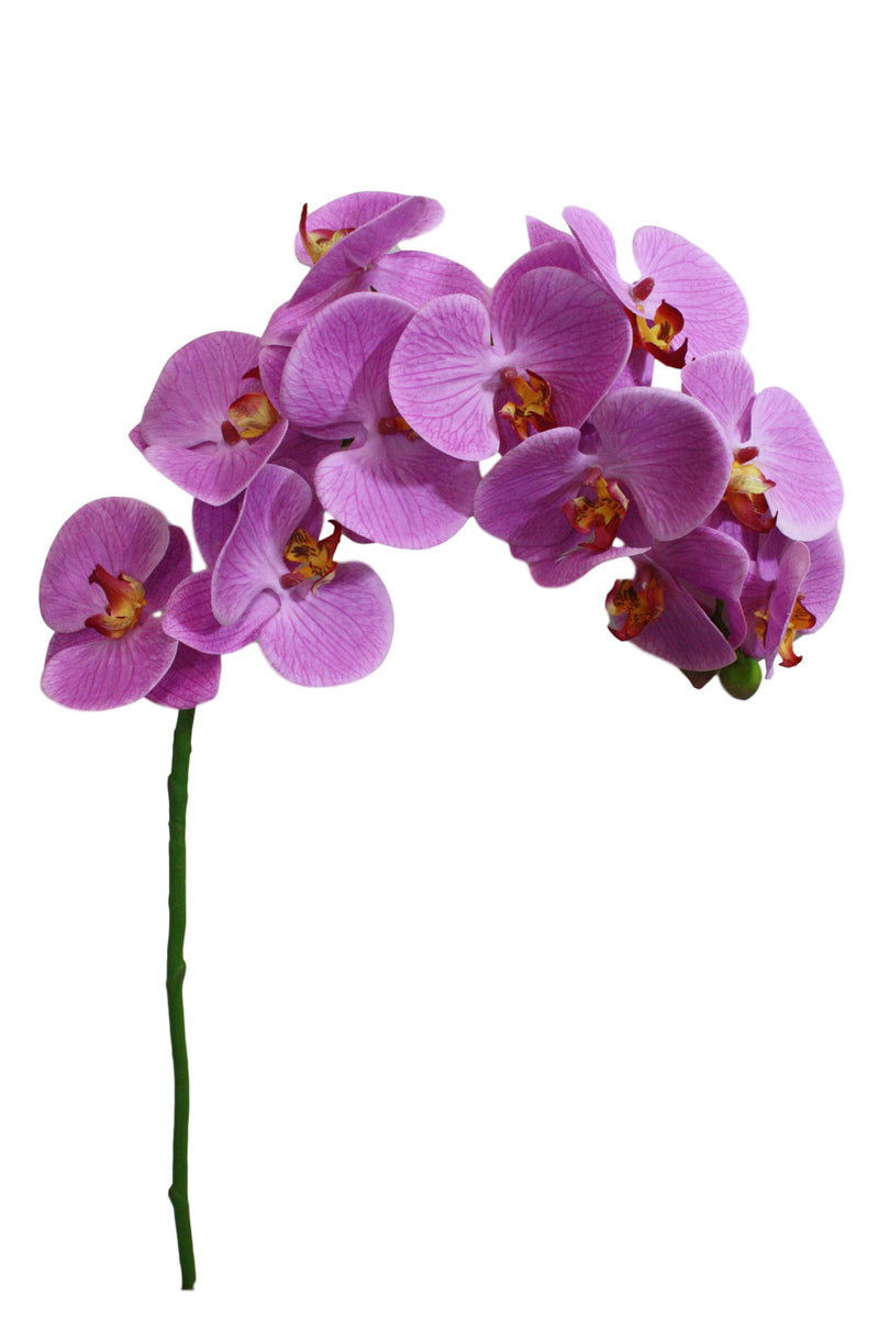 Orchids – INTERNATIONAL SILK