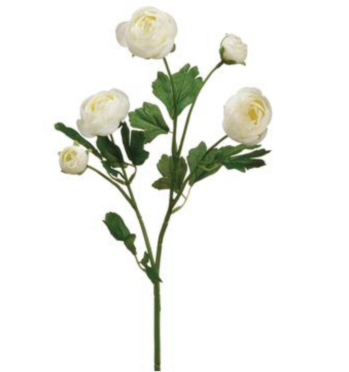 20” Silk Ranunculus Spray ( FSR291-WH ) – INTERNATIONAL SILK